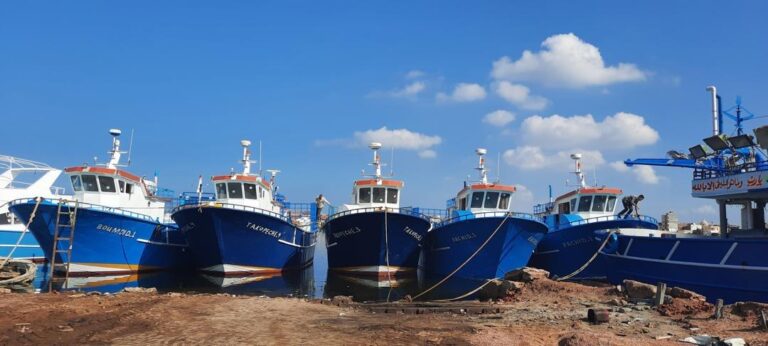 vessels1
